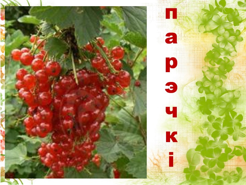 п а р э ч к і